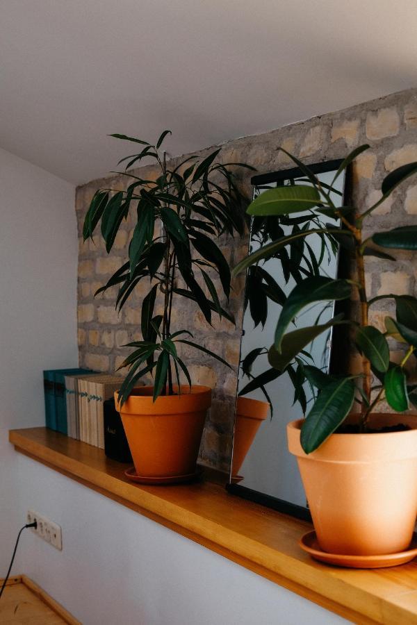 White Loft In The Riga City Center Екстериор снимка